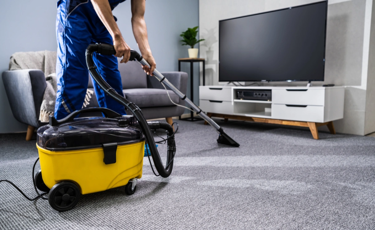 Extract Carpet Cleaning Clematis Contact Office